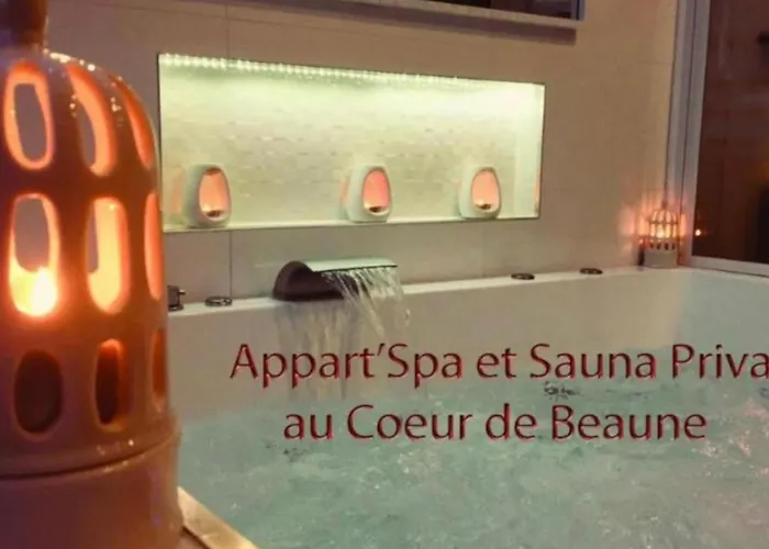 Location de vacances: Appart' Spa et Sauna Privatif Au Cœur De Beaune