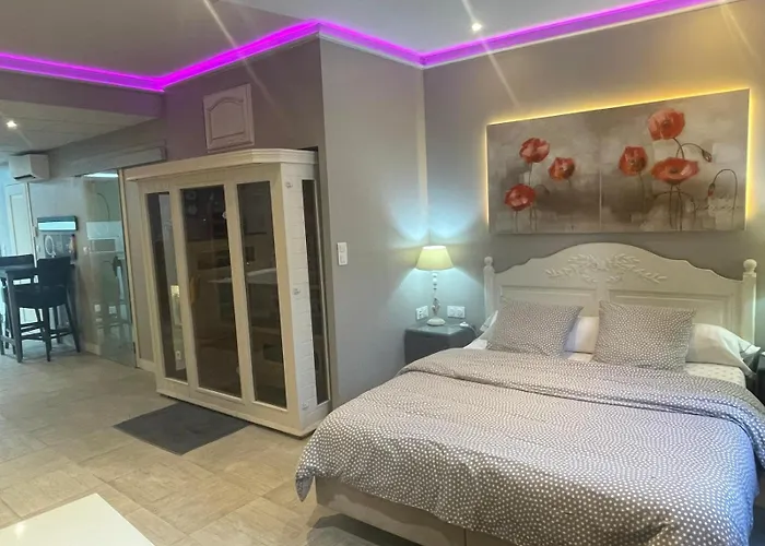 Location de vacances: Appart' Spa et Sauna Privatif Au Cœur De Beaune